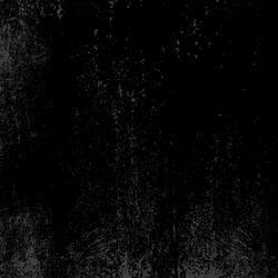 DevBackup-Todd-Photos